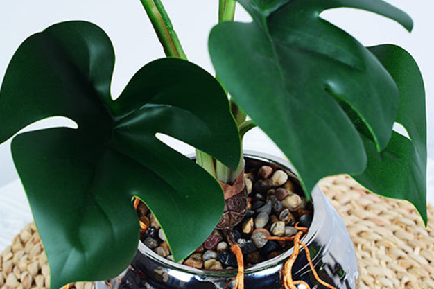 Artificial Plants for Interior Design-05.jpg